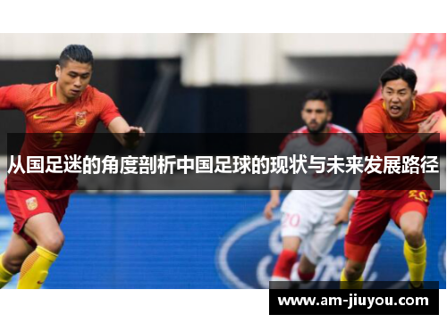 从国足迷的角度剖析中国足球的现状与未来发展路径