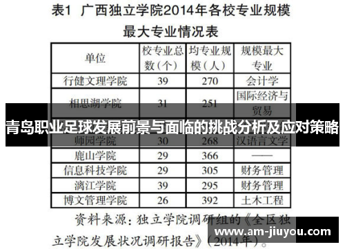 青岛职业足球发展前景与面临的挑战分析及应对策略