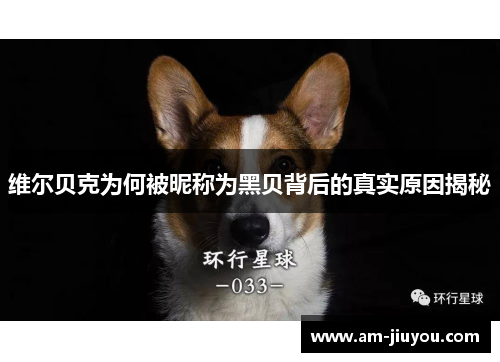 维尔贝克为何被昵称为黑贝背后的真实原因揭秘