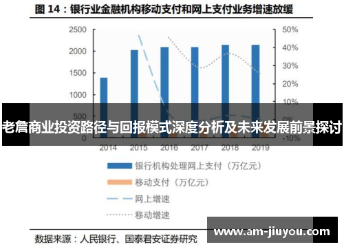 老詹商业投资路径与回报模式深度分析及未来发展前景探讨