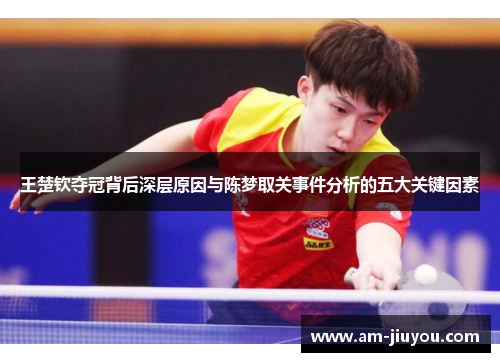 王楚钦夺冠背后深层原因与陈梦取关事件分析的五大关键因素