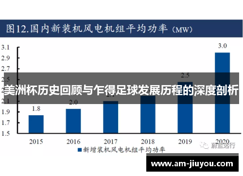 美洲杯历史回顾与乍得足球发展历程的深度剖析
