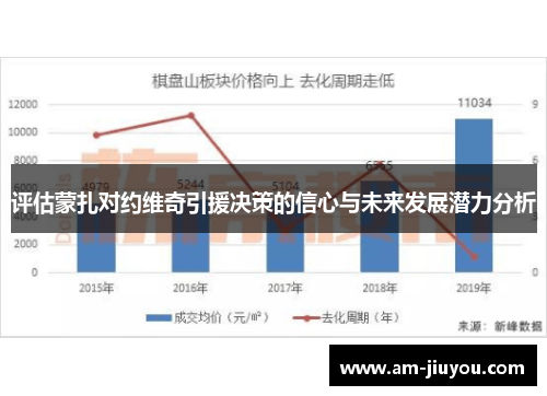 评估蒙扎对约维奇引援决策的信心与未来发展潜力分析